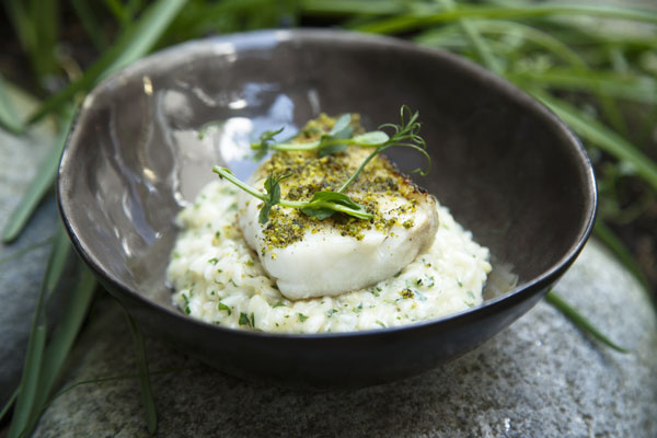 risotto-poisson Risotto poisson